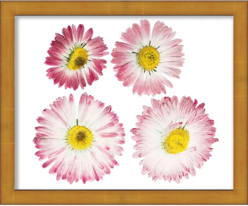 Vista 6 de 8.5x11 Frame (Letter Size) Gold Shadowbox Frame - Shadow Box Frame Interior Size 8.5x11 x 2.25 Inches Deep - Gold Frame Made to Display Items Up To