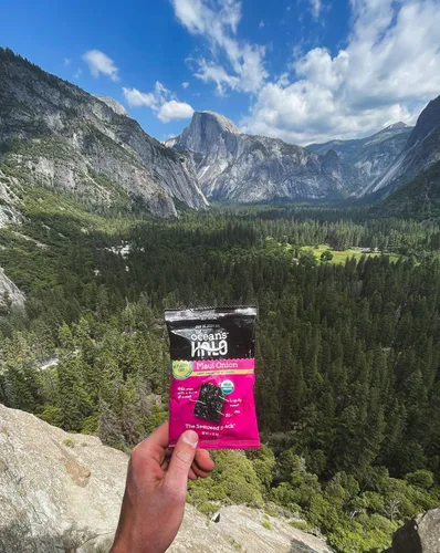 Vista 5 de Ocean's Halo Snacks de algas orgánicas – Cebolla Maui, sin bandeja, veganos, crujientes salados, paquete de 20 (0.14 onzas cada uno)