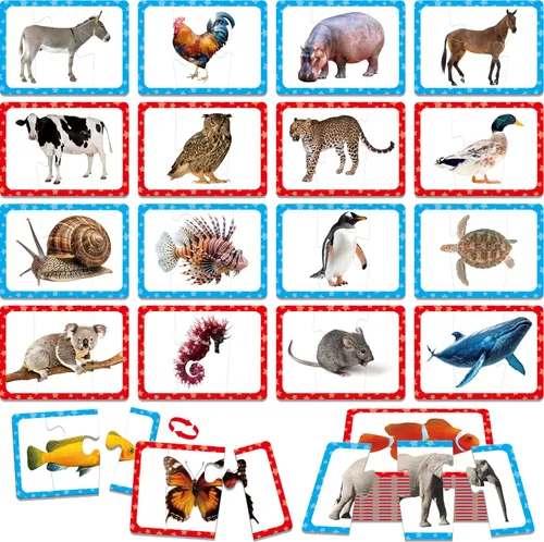 Vista 10 de Juego de 24 tarjetas de rompecabezas de palabras de 3 letras, 72 piezas de rompecabezas de ortografía de palabras autocorrectivos, tarjetas