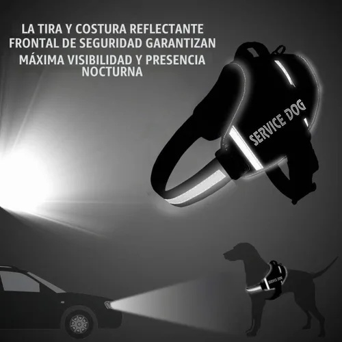 Vista 5 de Juego de correa de arnés para perro personalizado sin tirones con número de Original