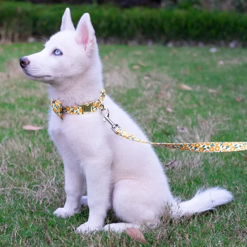 Vista 44 de Tunkoo Collar de otoño para perro con elegante pajarita, duradero, ajustable y elegante collar de otoño para mascotas, disponible en tamaño pequeño