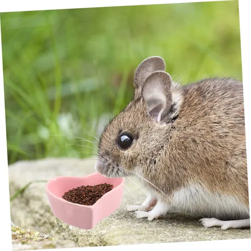 Vista 9 de POPETPOP Plato de comida para hámster, 2 unidades, cuenco de cerámica para hámster mascota, no se cae fácil