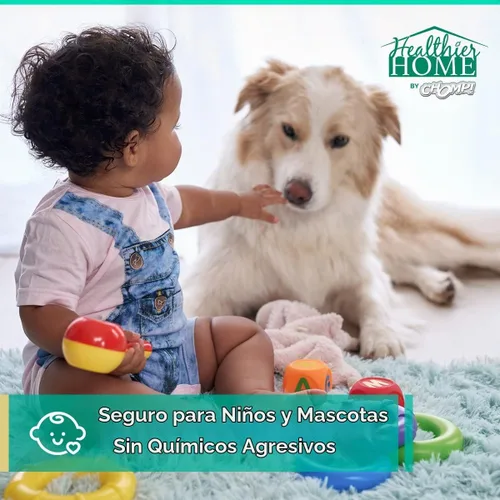 Vista 4 de CHOMP! Spray para control de insectos y plagas, 24 onzas, uso en interiores y exteriores, hormigas de fórmula a base de plantas, chinches, arañas