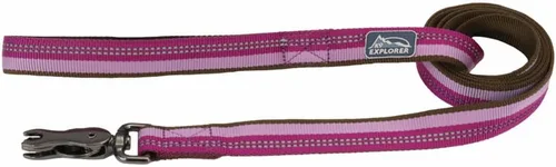 Vista 12 de Coastal Pet K9 Explorer - Correa reflectante para perro con cierre de tijera, correa de nailon duradera, correas para perros y cachorros