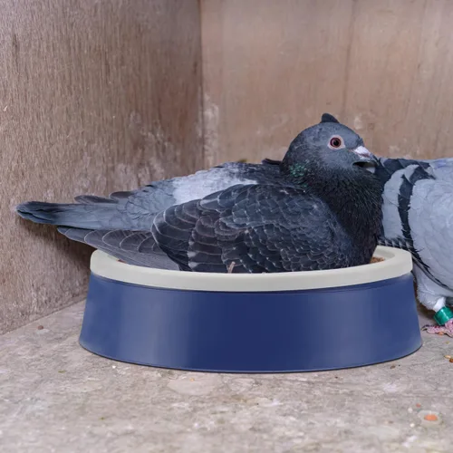 Vista 8 de Mipcase 5pcs paloma nido periquito nido caja de mascotas suministros plástico aves anidación