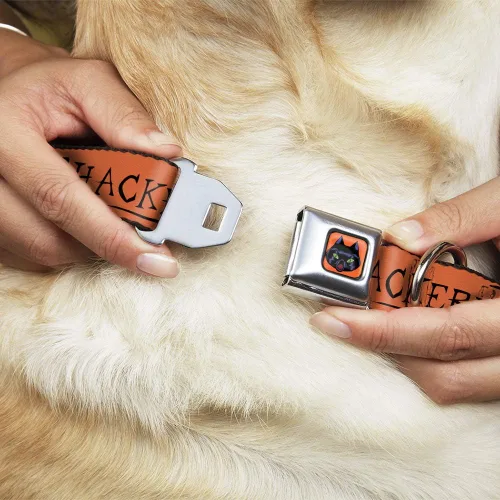 Vista 8 de Buckle-Down Collar de perro Hebilla de cinturón de seguridad Hocus Pocus Thackery Binx Cat Silhouette Naranja Negro, 1 pulgada de ancho - Se adapta