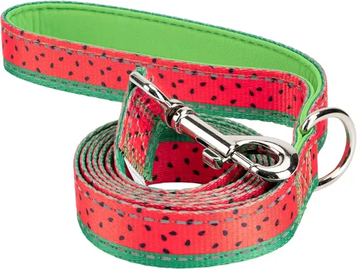 Vista 12 de EcoBark Correa para Perro - Correas Cómodas y Reflectantes con Asa Acolchada - Fuerte y Duradera de Alta Resistencia - Entrenamiento y Tiro