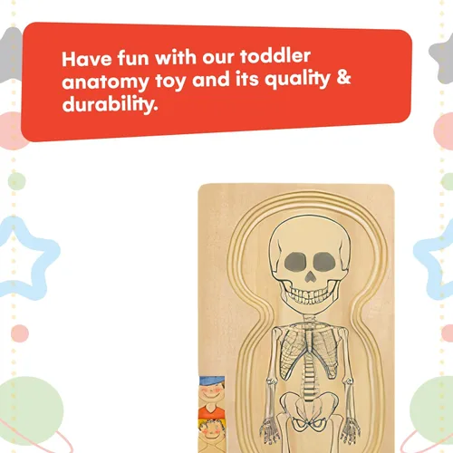 Vista 12 de Kidzlane Boy Wooden My Body Puzzle for Toddlers & Kids - 29 Piece Boys Anatomy Puzzle Kid Play Set - Anatomy for Kids, Skeleton Toys for Children