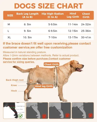 Vista 5 de Rodillera para Perro para ACL/CCL Desgarrado Pata Trasera, Soporte Ajustable con Suficiente Envoltura y Soporte y Luxación de Rótula, Soporte