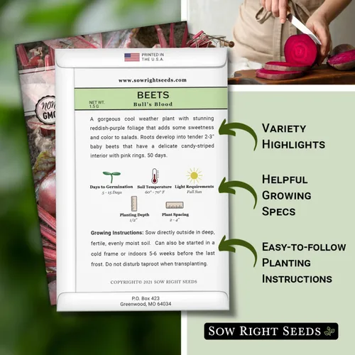 Vista 2 de Sow Right Seeds - Semillas de remolacha sanguina para plantar - Paquete de reliquia sin OMG con instrucciones para plantar y cultivar un huerto
