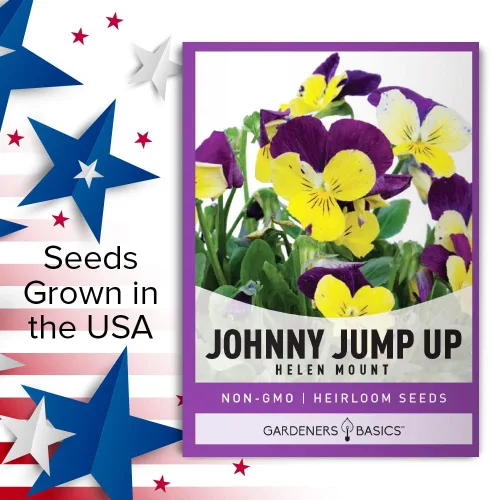 Vista 5 de Violet, Johnny Jump Up - Semillas de flores para plantar, paquete de semillas de flores anuales de polinización abierta, variedad sin OMG, semillas