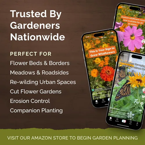 Vista 3 de Eden Brothers Zinnia Seeds - Mezcla de California Giants, semillas sin OMG para plantar, 5 libras Semillas de flores de bajo mantenimiento