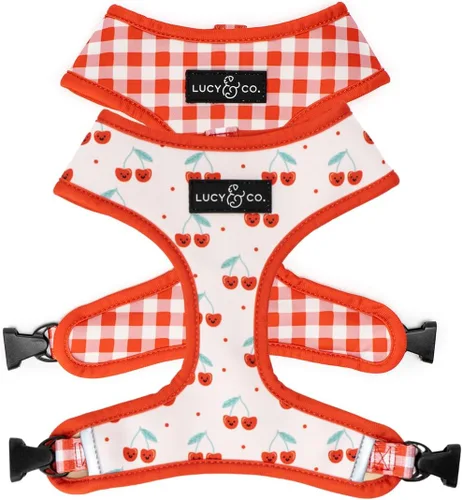 Vista 18 de Lucy & Co. Lindo arnés reversible para perros con cuello halter para caminar, el mejor diseño de arneses para mascotas XS a XL, chaleco acolchado