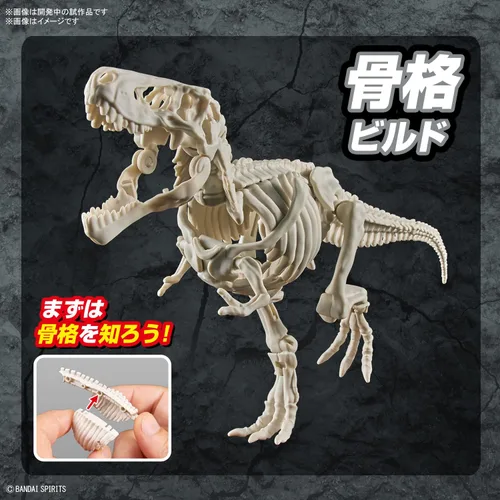 Vista 4 de Bandai Hobby - Plannosaurus - #01 Tyrannosaurus, kit de modelo de dinosaurio Bandai Spirits