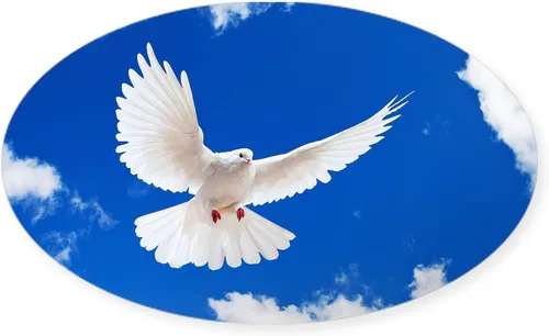 Vista 9 de CafePress Pegatina rectangular de espíritu santo para parachoques de coche ovalada Blanco - Pegatina Rectángulo Espíritu Santo
