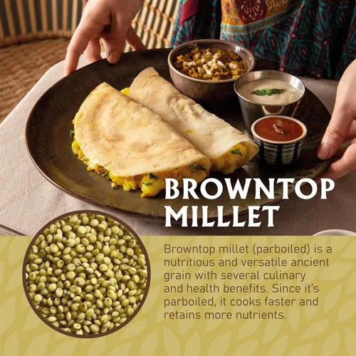 Vista 6 de Jiva Organics Browntop Millet Bolsa de 2 libras Grano entero, sin gluten y orgánico Superalimento rico en proteínas y fibra para una cocina
