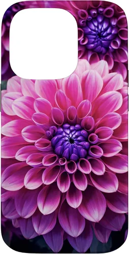 Vista 17 de Dahlia Flower Floral Nature Garden Funda con diseño granate rosa y morado para iPhone 16