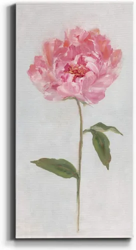Vista 54 de Renditions Gallery Master Botanical II - Arte de pared, decoración en lienzo de alta calidad con envoltura de galería, listo para colgar, 16