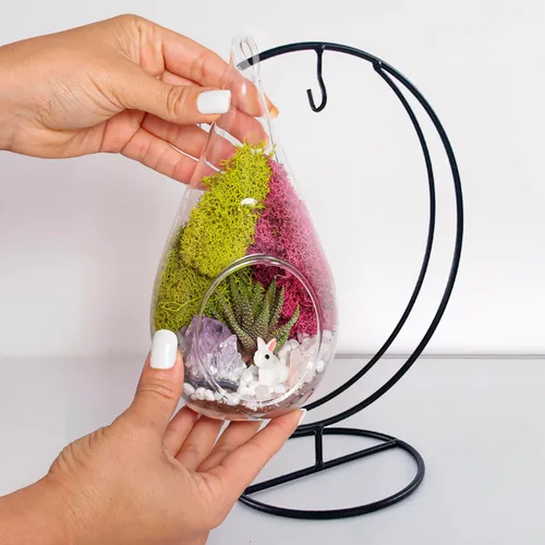 Vista 7 de Creations by Nathalie Kit de terrario casero de 18 cm en forma de lágrima con plantas vivas - Maceta colgante de vidrio con soporte para adultos