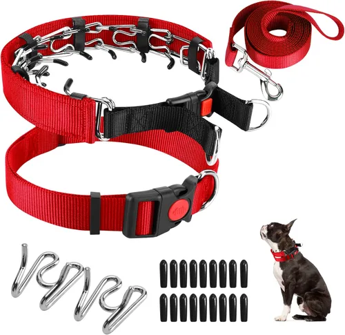 Vista 33 de Collar de entrenamiento de puntas con puntas cómodas y hebilla de cierre rápido – Collar de pellizco para perro con cubierta de nailon