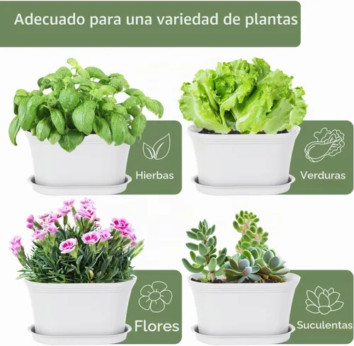 Vista 4 de Oliz 6pk Windowsill Planters, White Plastic w/Drain Tray - Indoor/Outdoor Blanco