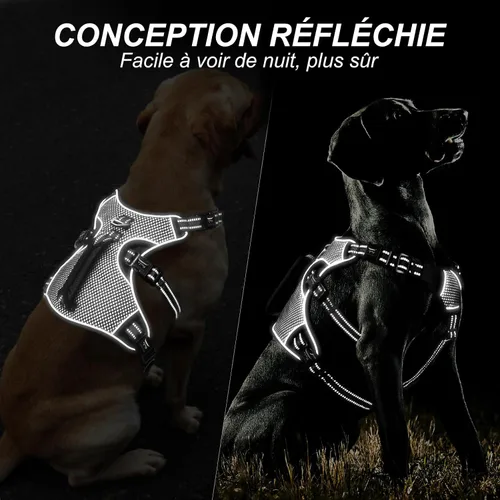 Vista 5 de HEELE Arnés para perro, arnés para perro a prueba de escapes, liberación en el cuello, chaleco ajustable reflectante sin tirones con mango duradero
