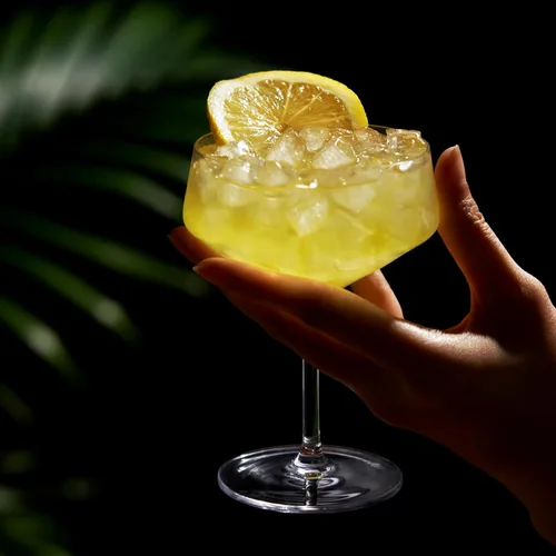 Vista 8 de Viski - Copas de brandy de 12,7 cm, cupé, talla única , Copas Coupé