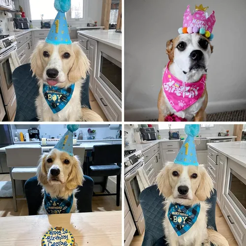 Vista 7 de Mihachi Suministros para fiestas de cumpleaños para perros, bandana y sombrero con número, bufanda triangular para regalo de decoración, perros