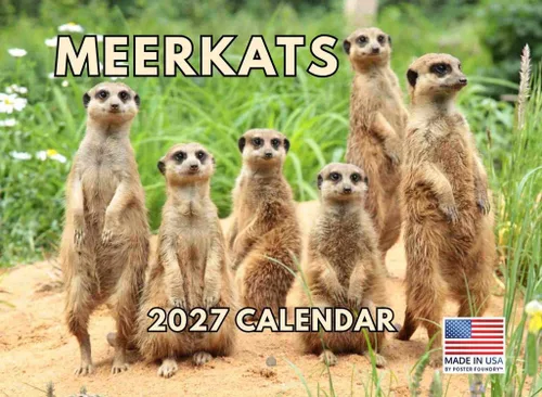 Vista 69 de Calendario mensual de pared de alpaca 2025 Fabricado en Estados Unidos