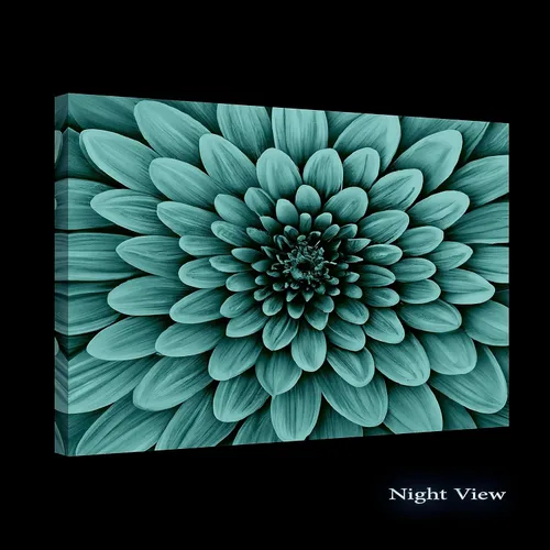 Vista 2 de Startonight Lienzo decorativo para pared, pintura de pétalos blancos macro, flores, decoración, obra de arte para sala de estar, imagen grande