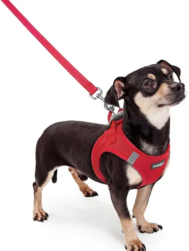 Vista 117 de rabbitgoo Arnés para perro de tamaño pequeño y juego de correa, chaleco Cachorros de manzana