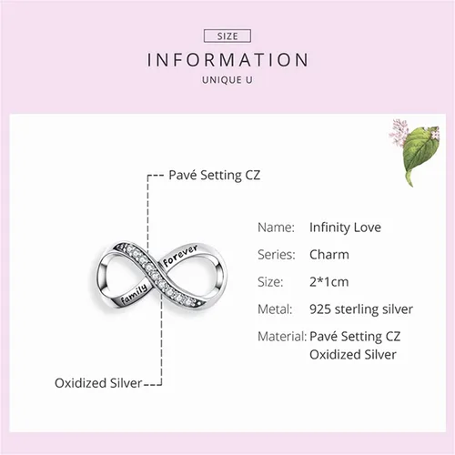 Vista 35 de Abalorios de plata de ley para pulseras, collares, familia para siempre, circonita cúbica, regalo de joyería para mujeres