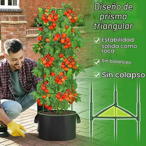 Vista 2 de ANPHSIN Jaula de tomate triangular resistente con bolsas de cultivo