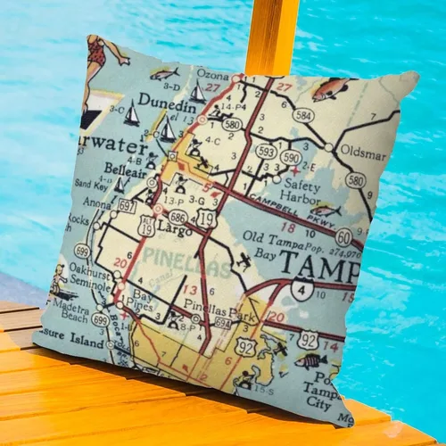 Vista 3 de Pinellas County Florida Map - Fundas de almohada para exteriores, impermeables, de 20 x 20 pulgadas, fundas de cojín decorativas para exteriores