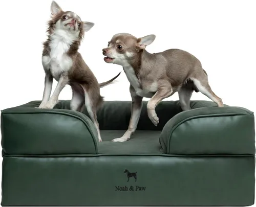 Vista 10 de NOAH & PAW Cama para perros pequeños, 20 x 15 x 8 pulgadas, cama para gatos de interior, espuma viscoelástica ortopédica de cáscara de huevo