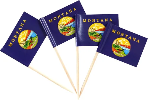 Vista 24 de QQSD Bandera de palillo de dientes de Alabama para decoración de cupcakes, 100
