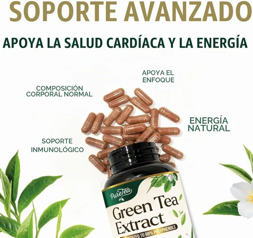 Vista 5 de PureTea - Píldoras de extracto de té verde de 1000 mg con EGCG – 98% de polifenoles estandarizados – Cápsulas de té verde de absorción 3X