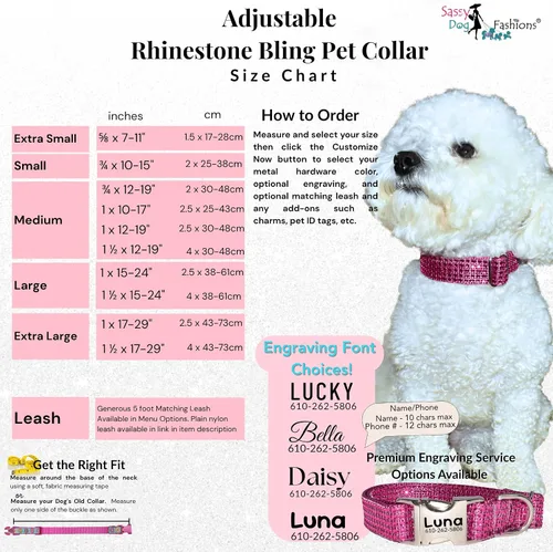 Vista 5 de Collar de perro con diamantes de imitación brillantes, hebilla grabada y opciones de correa, hecho a mano en Estados Unidos, collares de perro