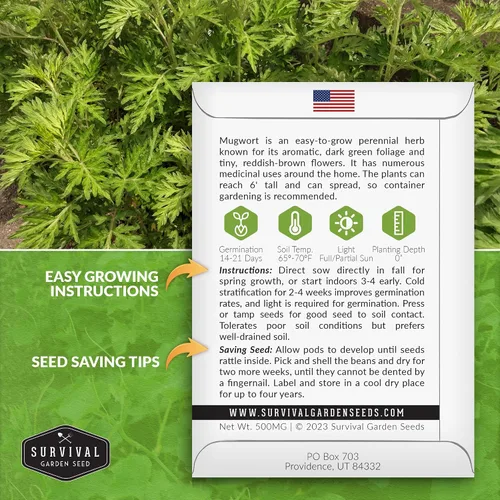 Vista 2 de Survival Garden Seeds Semillas comunes de artemisa para plantar, 1 paquete Heirloom Artemisia Vulgaris Medicinal Tea Herb, East Asian Culinary
