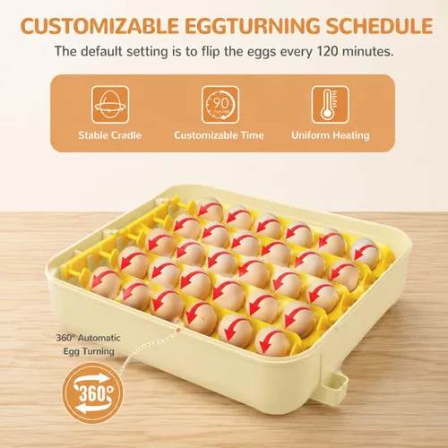 Vista 11 de Incubadoras de huevos para incubar 30 huevos con control de temperatura