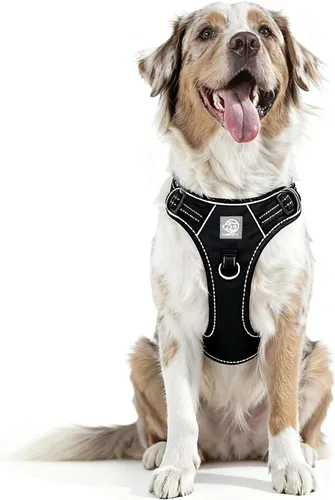 Vista 11 de Arnés de chaleco para perros - Acolchado ajustable reflectante con diseño fácil de poner y accesorio de correa (S, negro)