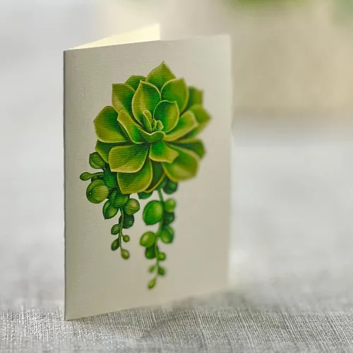 Vista 4 de Freshcut Paper Tarjetas de felicitación desplegables, Jardín de Cactus, plantas de casa de papel tamaño real de 12 pulgadas en 3D, tarjeta