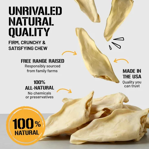 Vista 5 de Dog Chits Orejas de vaca para perros – Golosinas para perros totalmente naturales con orejas de vaca y masticables de entrenamiento – Alto