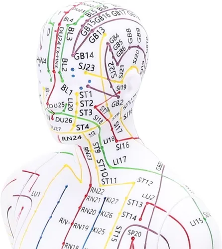 Vista 7 de Modelo de acupuntura de cuerpo humano de 20.5 in, modelo de acupuntura de punto de presión de maniquí de enseñanza de chino masculino/femenino