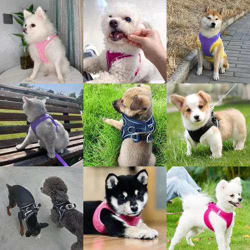 Vista 5 de Arnés para perro con juego de correa, arnés sin tirones para mascotas con 2 clips para correa, chaleco acolchado suave ajustable para perros y gatos