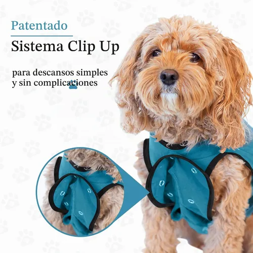 Vista 5 de BellyGuard Traje de recuperación de cirugía para perros, mameluco para perros para cuidado posoperatorio, ropa de recuperación para hembras