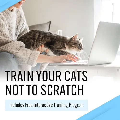 Vista 7 de Emmy's Best EBPP Stop The Scratch Cat Spray Disuasorio para gatitos y gatos – No tóxico, seguro para plantas, muebles, suelos y más spray disuasorio