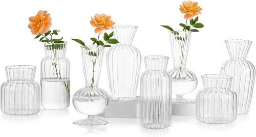 Vista 7 de Hewory - Mini jarrones de vidrio para centros de mesa, pequeños jarrones transparentes a granel, lindos jarrones de flores para bodas, decoración