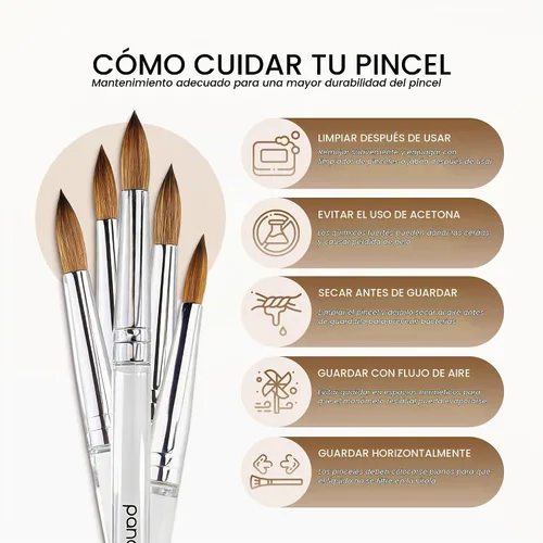 Vista 6 de PANA Pure Kolinsky Cepillo de uñas acrílico con mango de madera - forma redonda Transparente