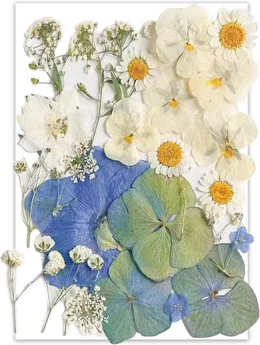 Vista 8 de 14 Tipos 37 piezas Flores Azules Secas Prensadas para Moldes de Resina, YouthBro Flores Secas Naturales Prensadas para Manualidades de Arte DIY